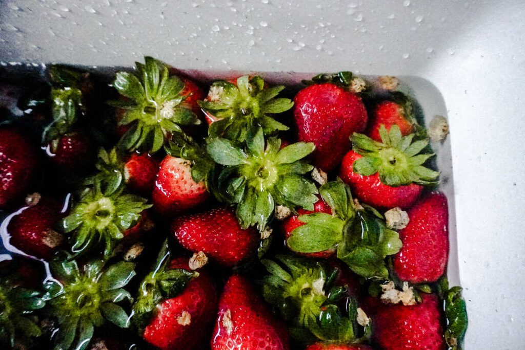 white sink full of water and fresh red strawberries with tops being soaked in the sink.