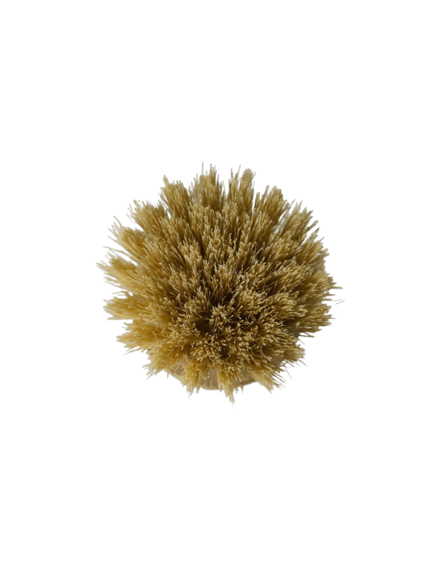 Wood Scrub Brush - Image 3