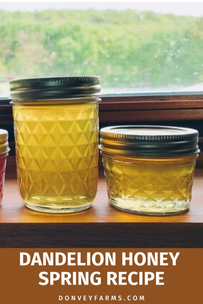 How To Make Dandelion Honey Easy Recipe