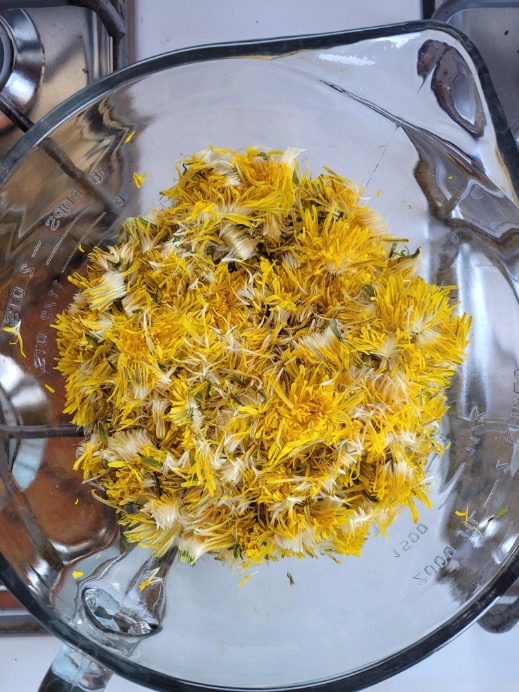 woman separating the dandelion petals and from the green flower head into glass cup measure