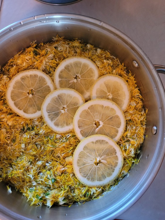pot with dandelion petals and sliced lemon