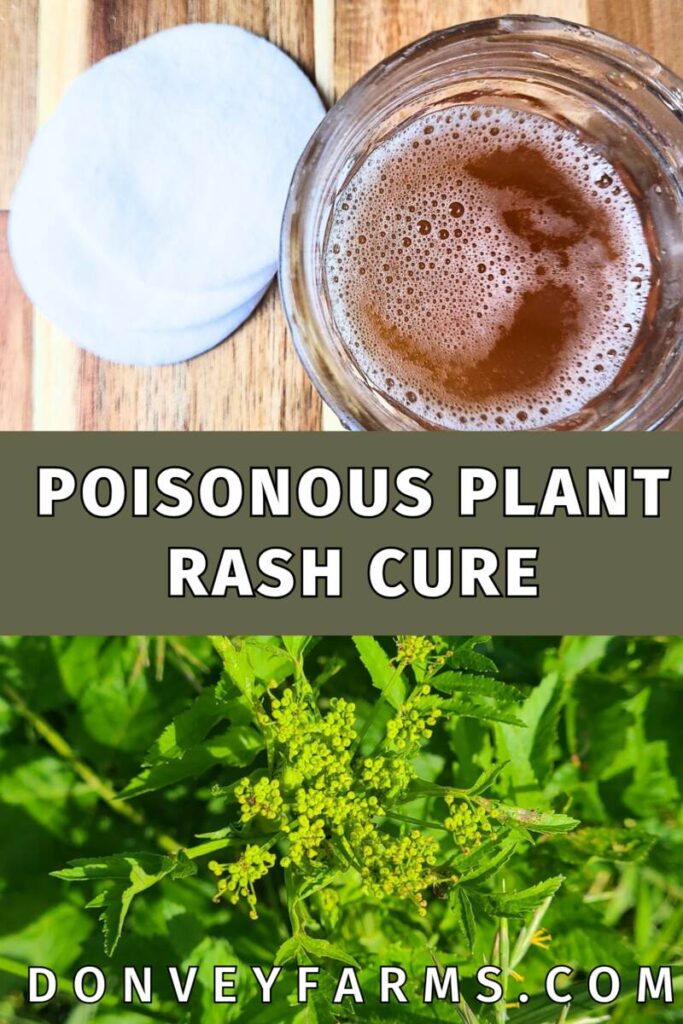 wild parsnip healing salt solution pinterest photo