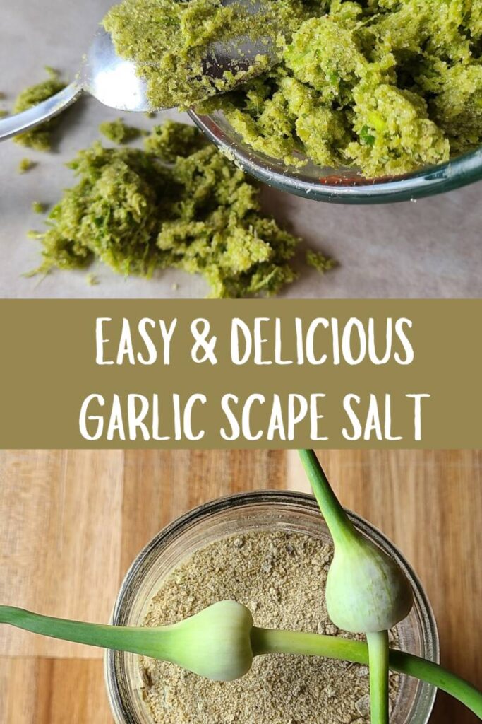 pinterest image for garlic scape salt recipe 
