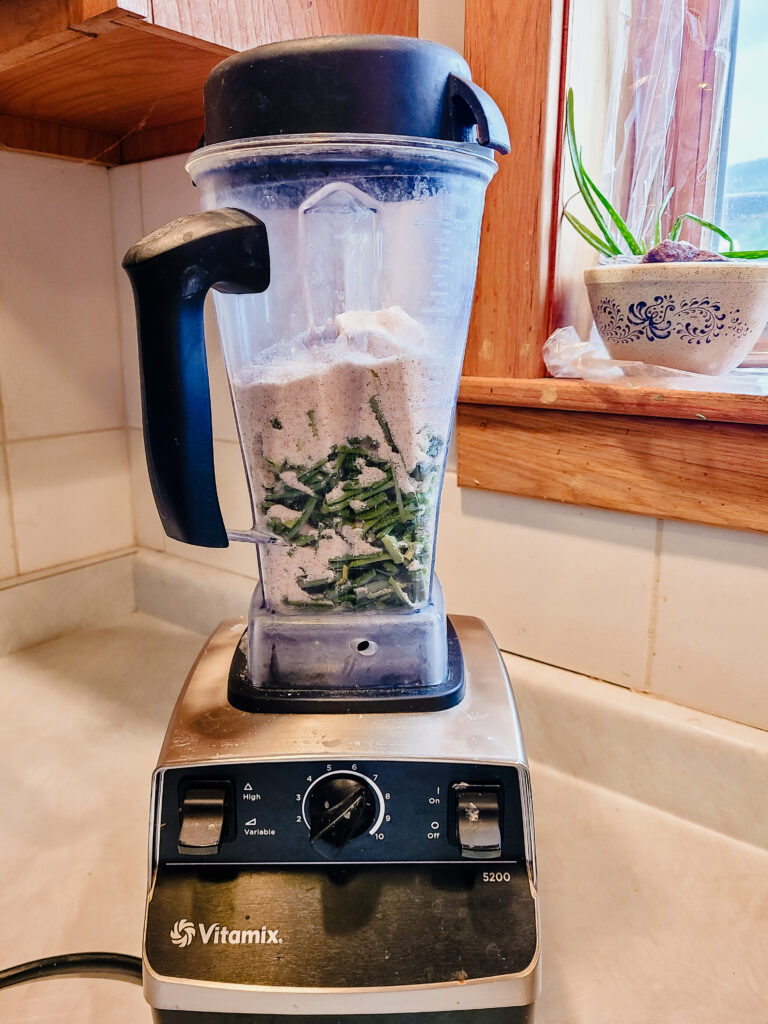 vitamin blender with salt and garlic scapes in it. 
