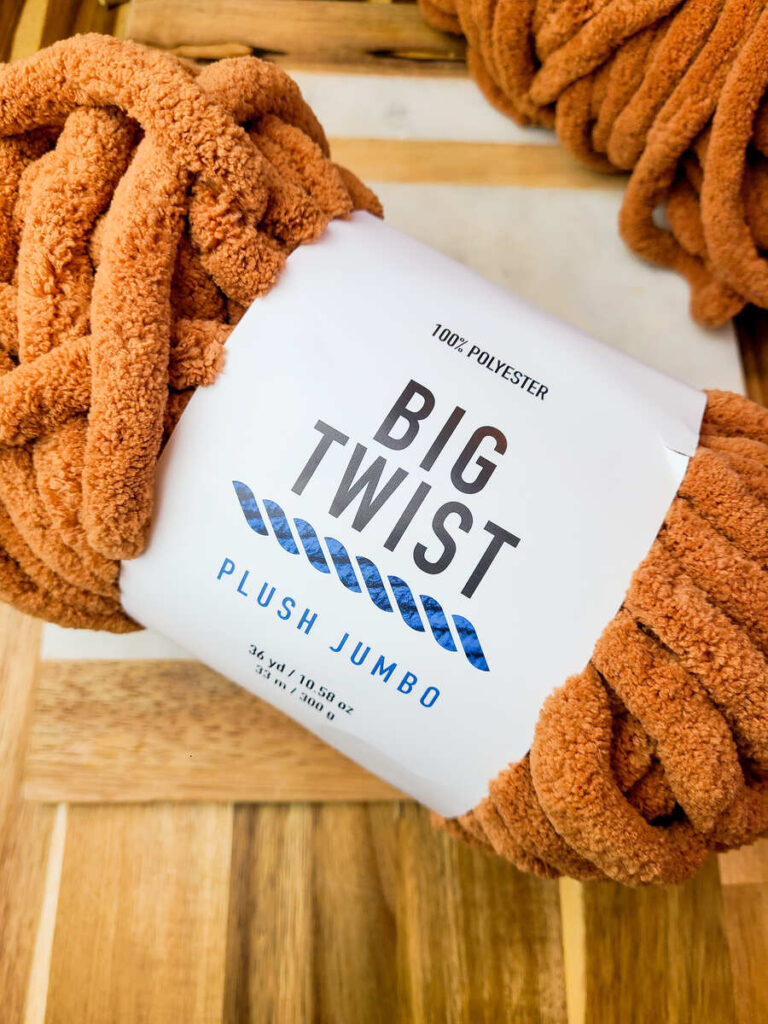 skein of Big Twist Cardamom colored plush jumbo yarn 