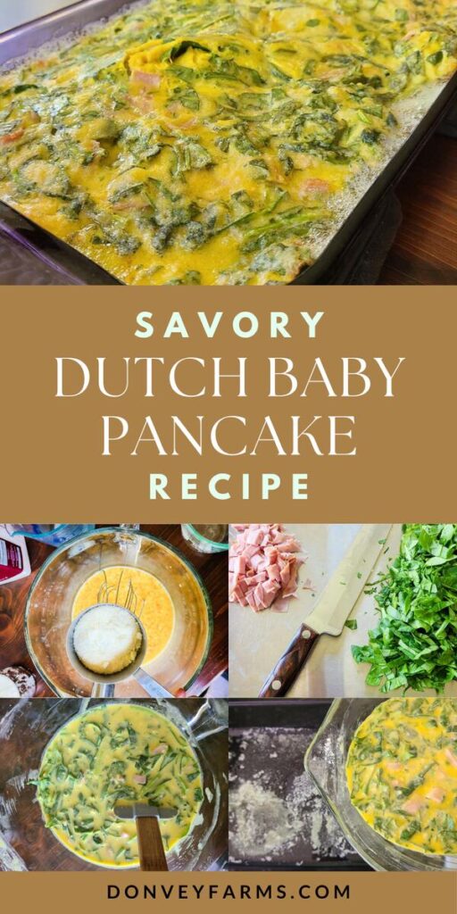 pinterest photo for The Best Savory German Pancake Recipe