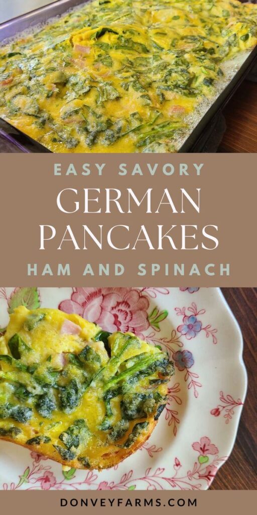 pinterest photo for The Best Savory German Pancake Recipe