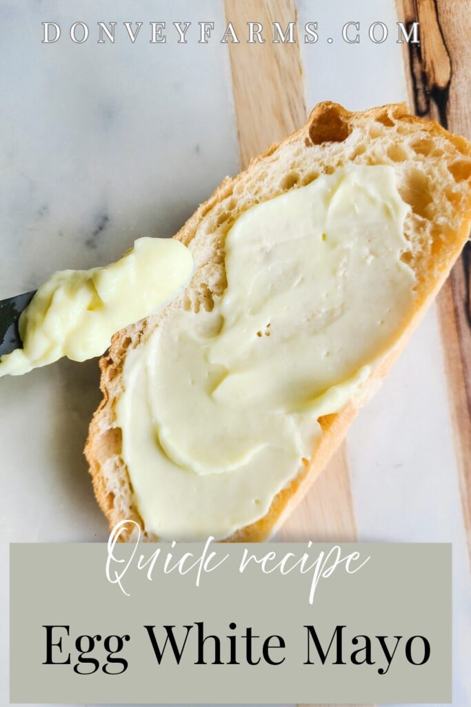 pinterest photo for easy egg white mayonnaise. 