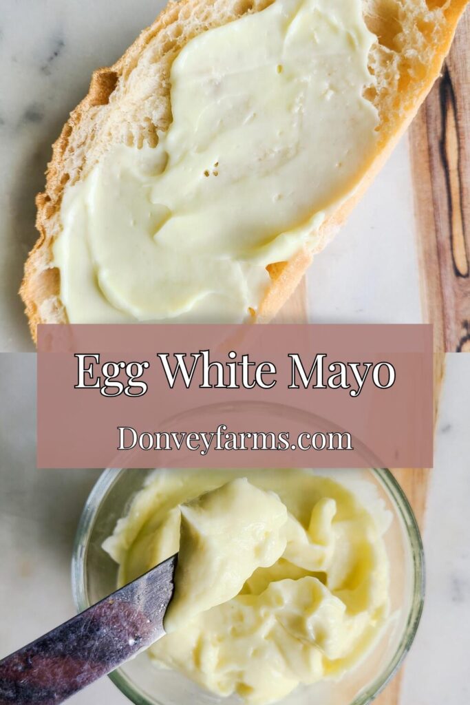 pinterest photo for easy egg white mayonnaise. 