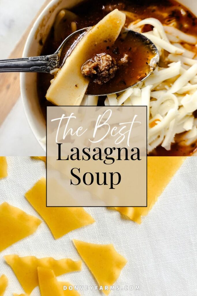 pinterest image for the best lasagna soup recipe 