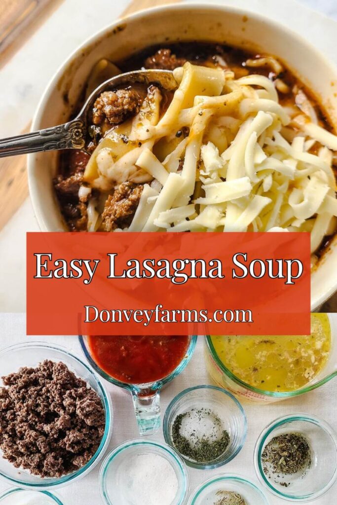 pinterest photo for the best lasagna soup recipe 