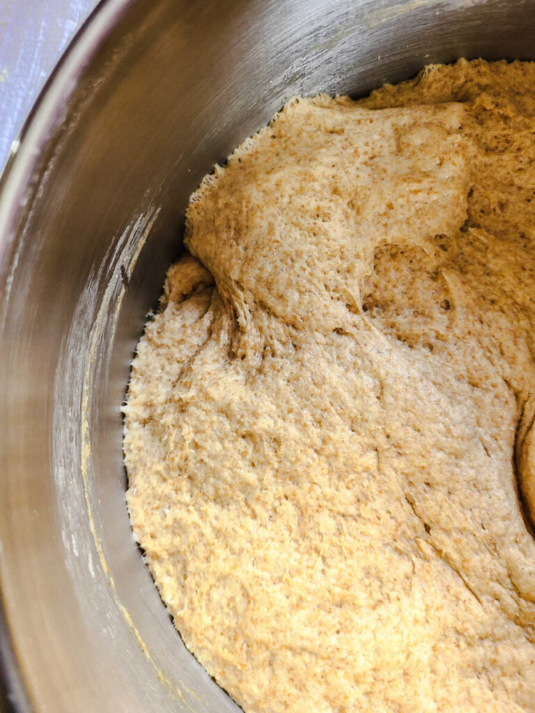 risen dough mixture in standing mixer bowl 