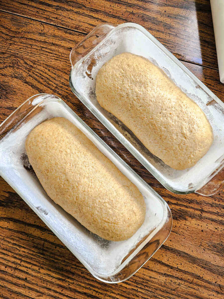 2 bread pans side by side with uprisen loaves of bread in them 