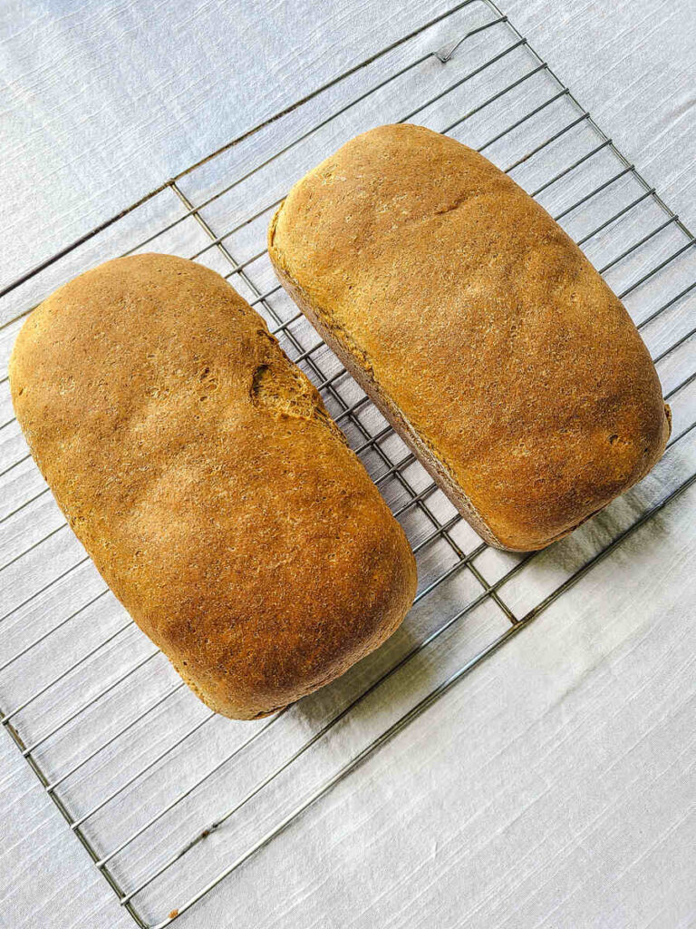 2 loaves of bread baked and sitting on wire rack to cool 