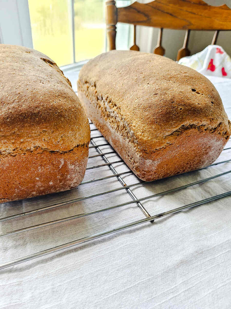 2 loaves of bread baked and sitting on wire rack to cool 