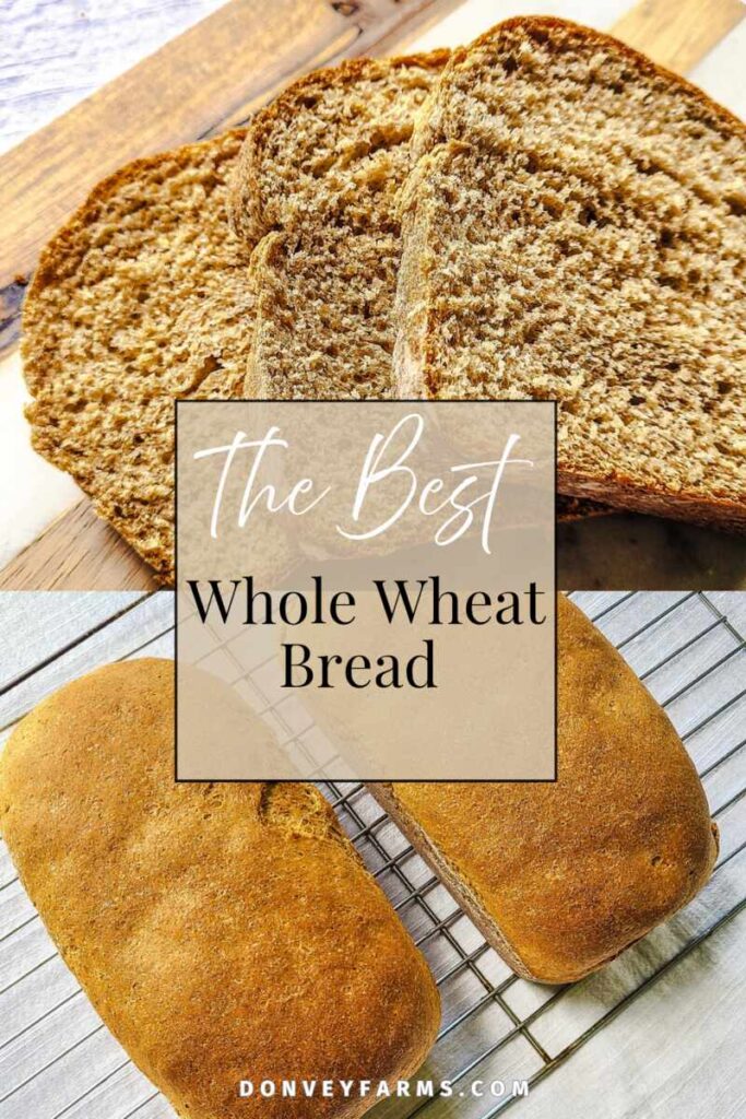 pinterest photo for easy whole wheat sandwich bread recipe 