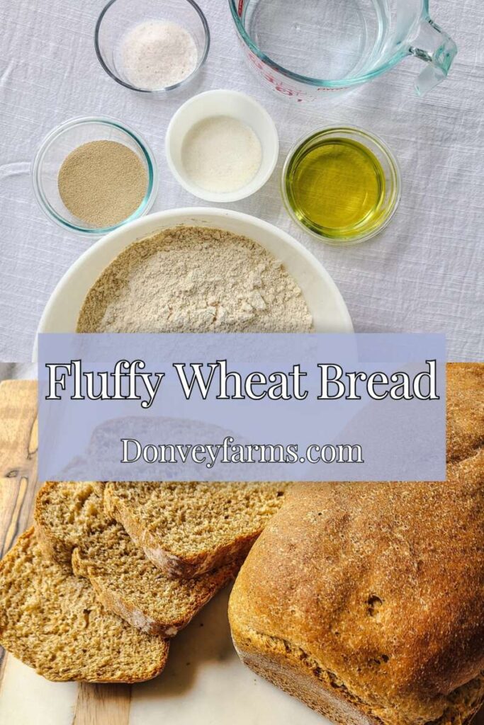 pinterest photo for easy whole wheat sandwich bread recipe 