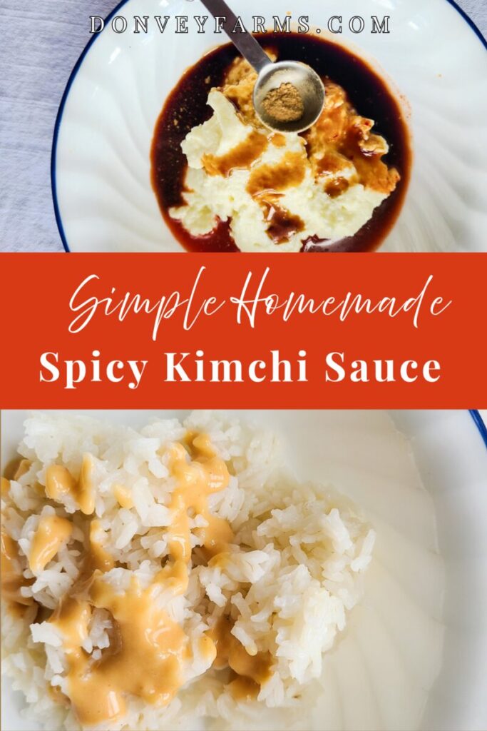 pinterest photo for spicy kimchi mayo recipe